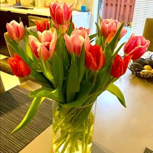 Meet your Posher, Belkis